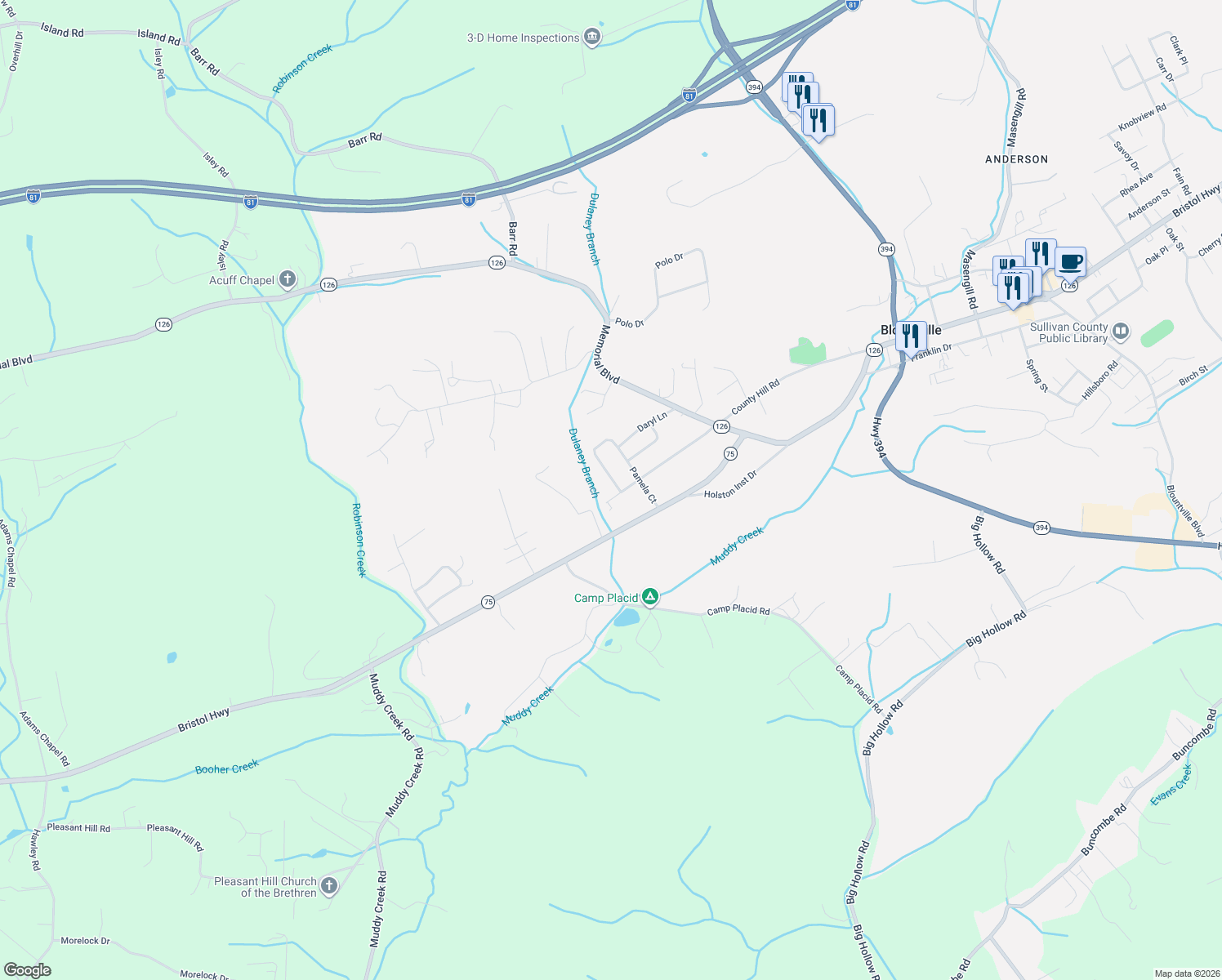 map of restaurants, bars, coffee shops, grocery stores, and more near 278 Pamela Court in Blountville