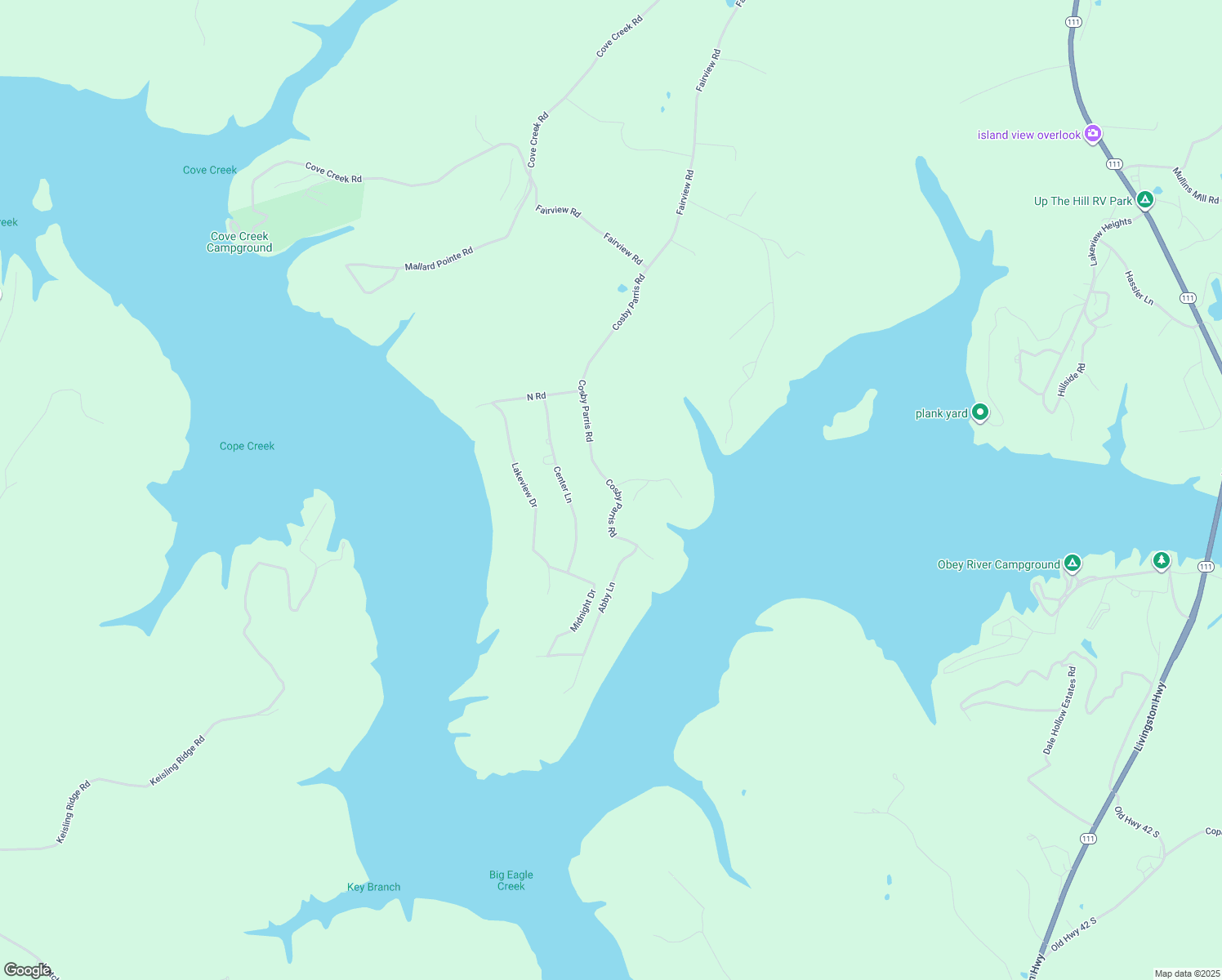 map of restaurants, bars, coffee shops, grocery stores, and more near 299 Cosby Parris Rd in Byrdstown