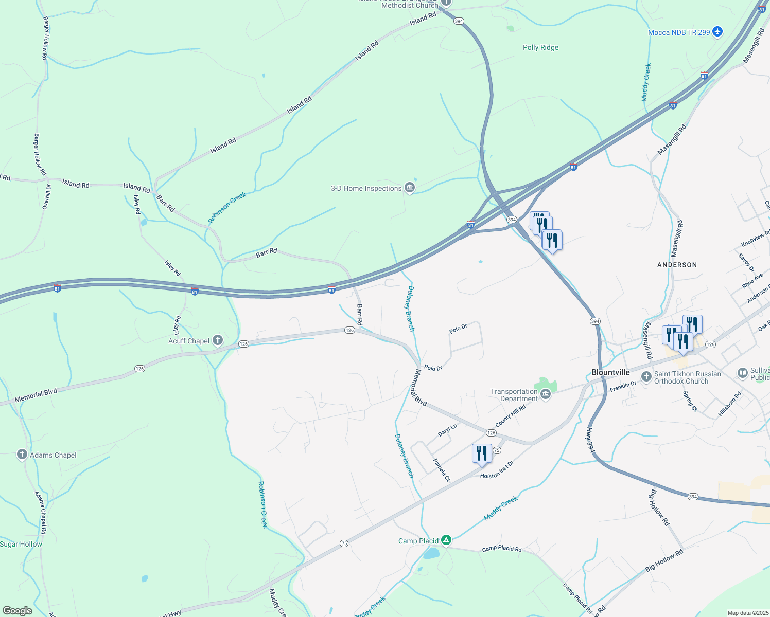 map of restaurants, bars, coffee shops, grocery stores, and more near 154 Ella Drive in Blountville