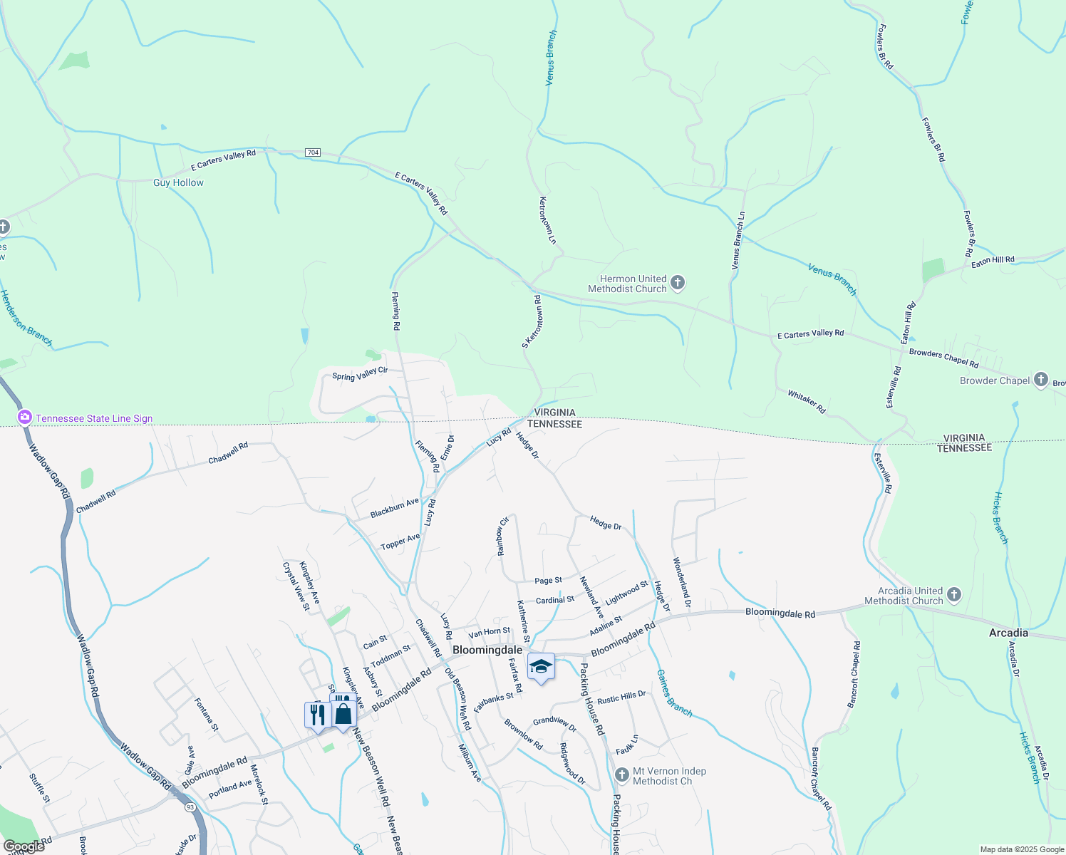 map of restaurants, bars, coffee shops, grocery stores, and more near 737 Hedge Dr in Kingsport