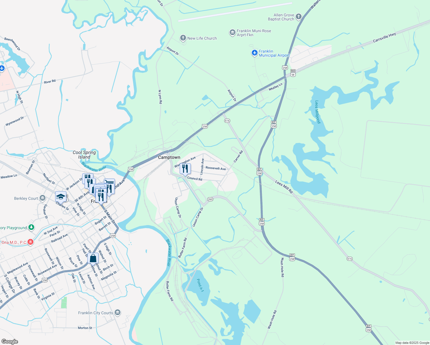 map of restaurants, bars, coffee shops, grocery stores, and more near 319 Pocahontas Avenue in Franklin