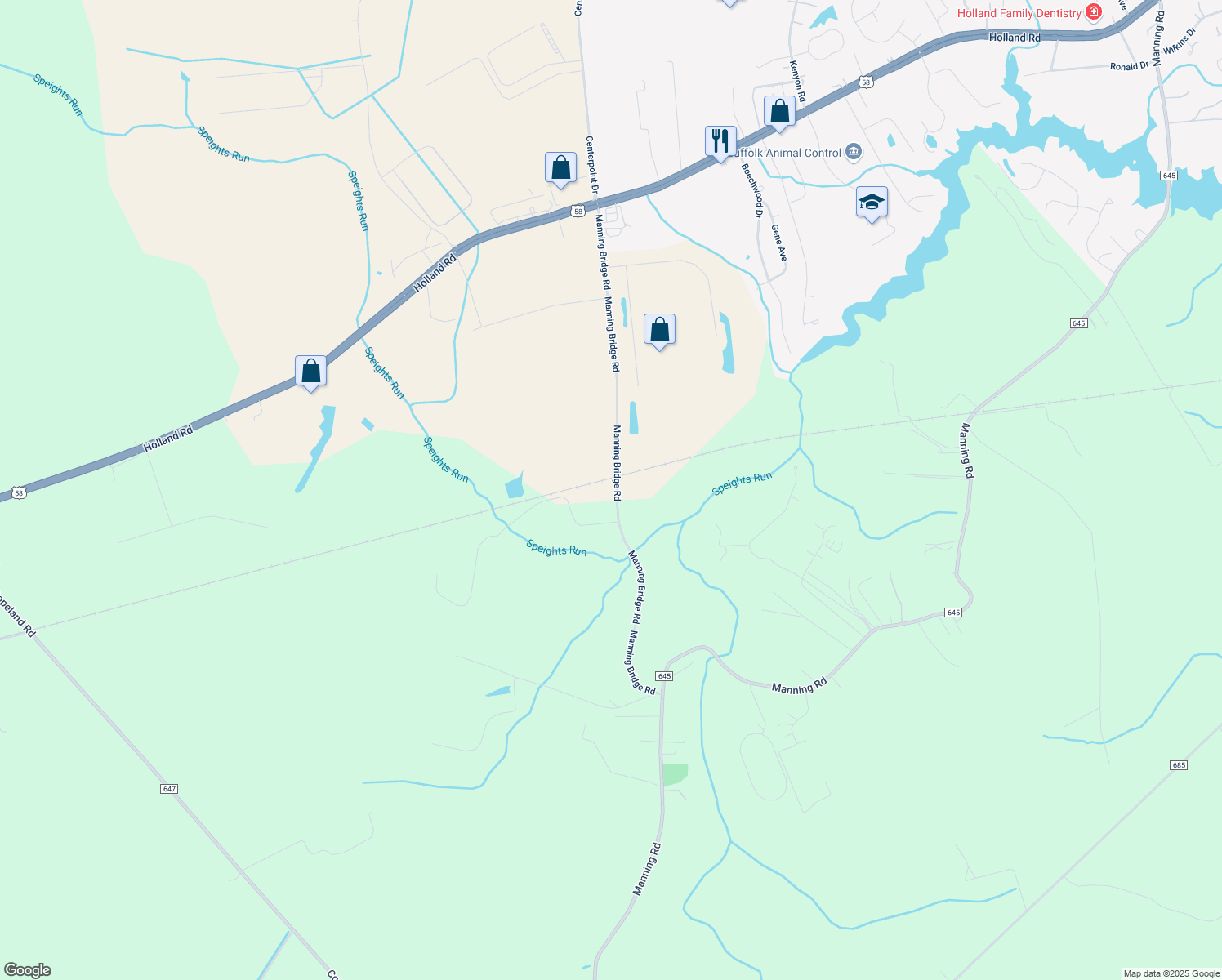 map of restaurants, bars, coffee shops, grocery stores, and more near 449 Manning Bridge Road in Suffolk