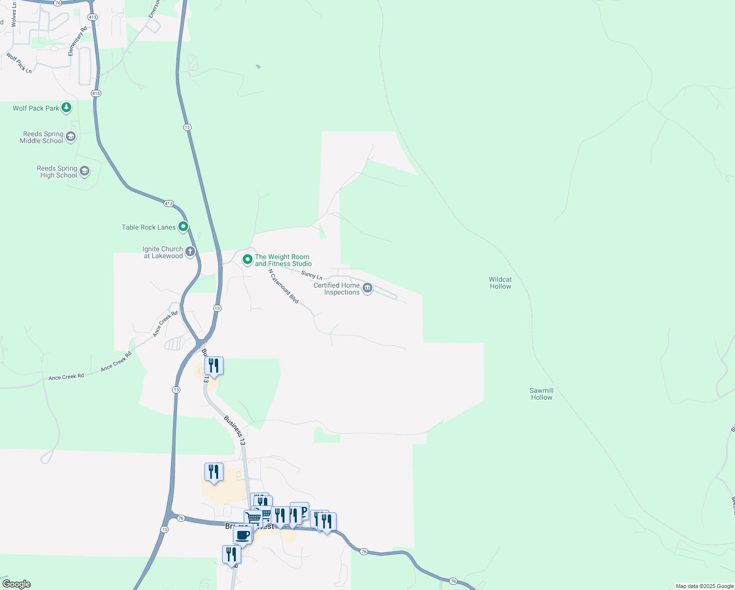 map of restaurants, bars, coffee shops, grocery stores, and more near in Reeds Spring