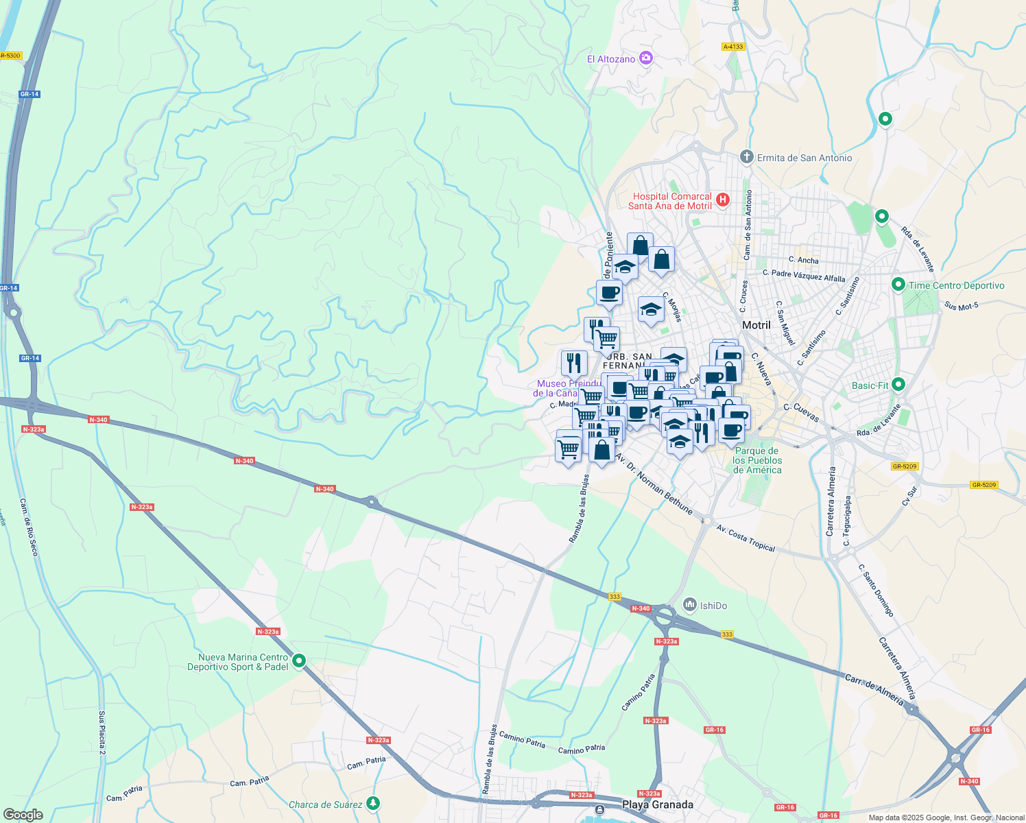 map of restaurants, bars, coffee shops, grocery stores, and more near Camino Minasierra in Granada