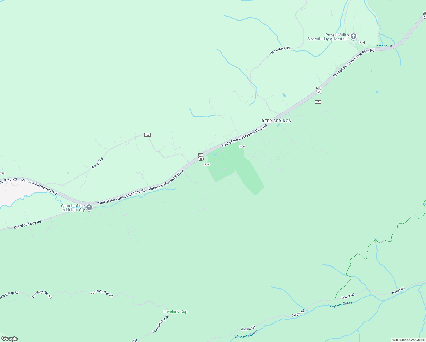 map of restaurants, bars, coffee shops, grocery stores, and more near State Road 733 in Dryden