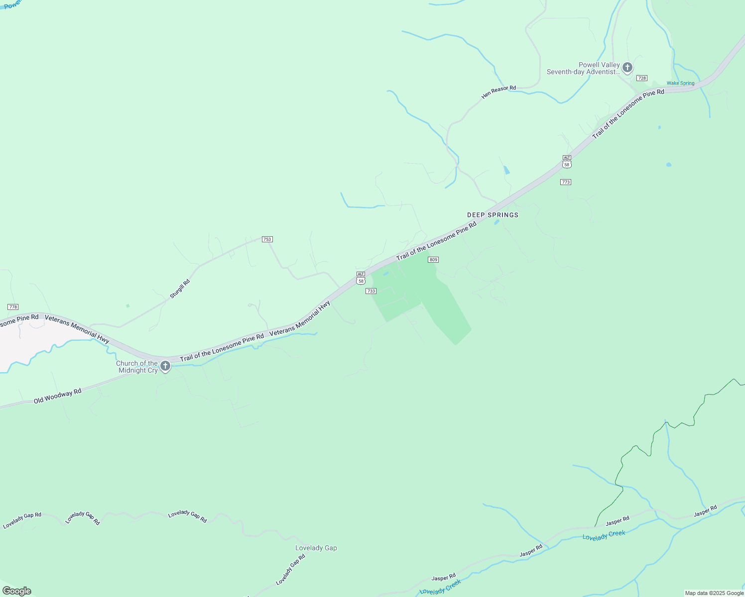 map of restaurants, bars, coffee shops, grocery stores, and more near State Road 733 in Dryden