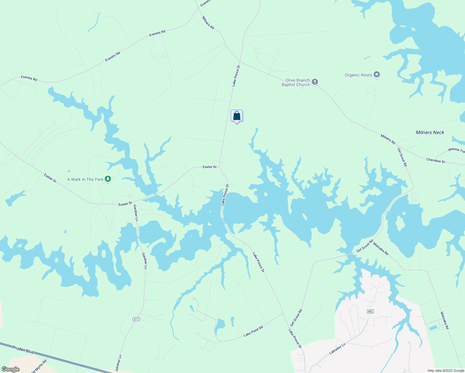 map of restaurants, bars, coffee shops, grocery stores, and more near 4324 Lake Prince Drive in Suffolk