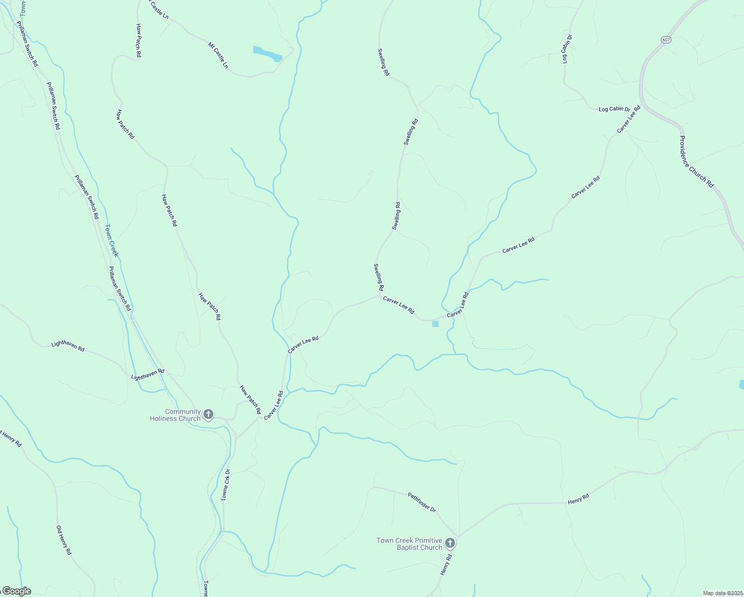 map of restaurants, bars, coffee shops, grocery stores, and more near Carver Lee Road in Ferrum