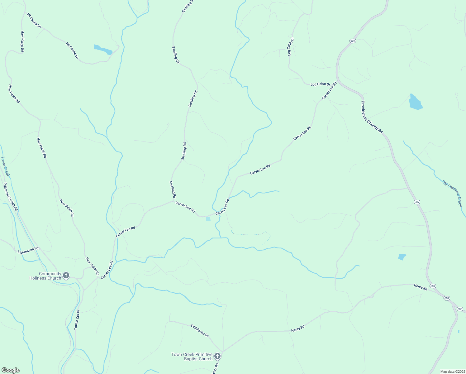 map of restaurants, bars, coffee shops, grocery stores, and more near Carver Lee Road in Ferrum