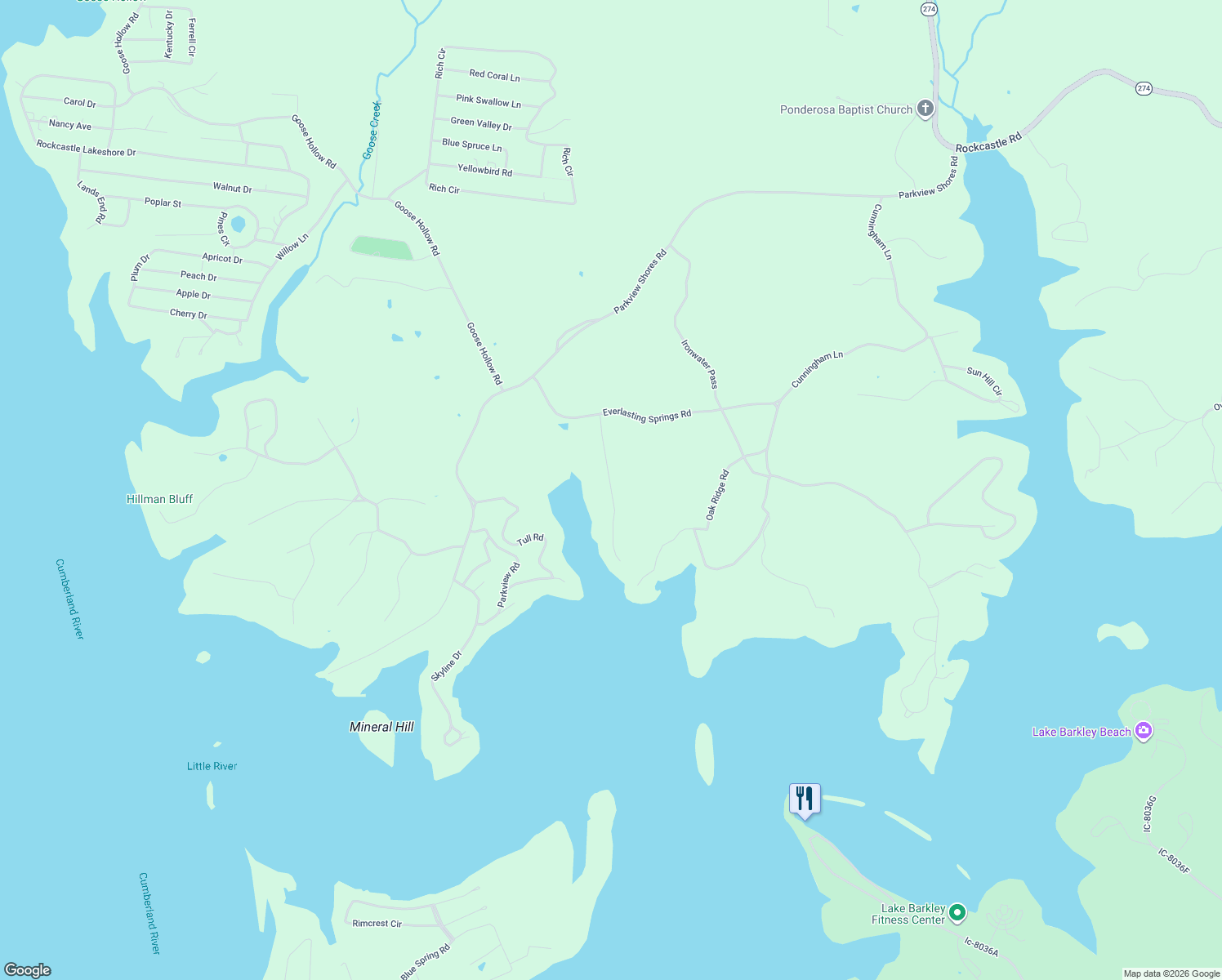 map of restaurants, bars, coffee shops, grocery stores, and more near Partridge Point in Trigg County