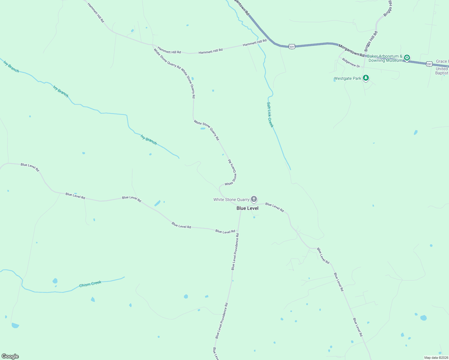 map of restaurants, bars, coffee shops, grocery stores, and more near 300-1788 White Stone Quarry Road in Bowling Green