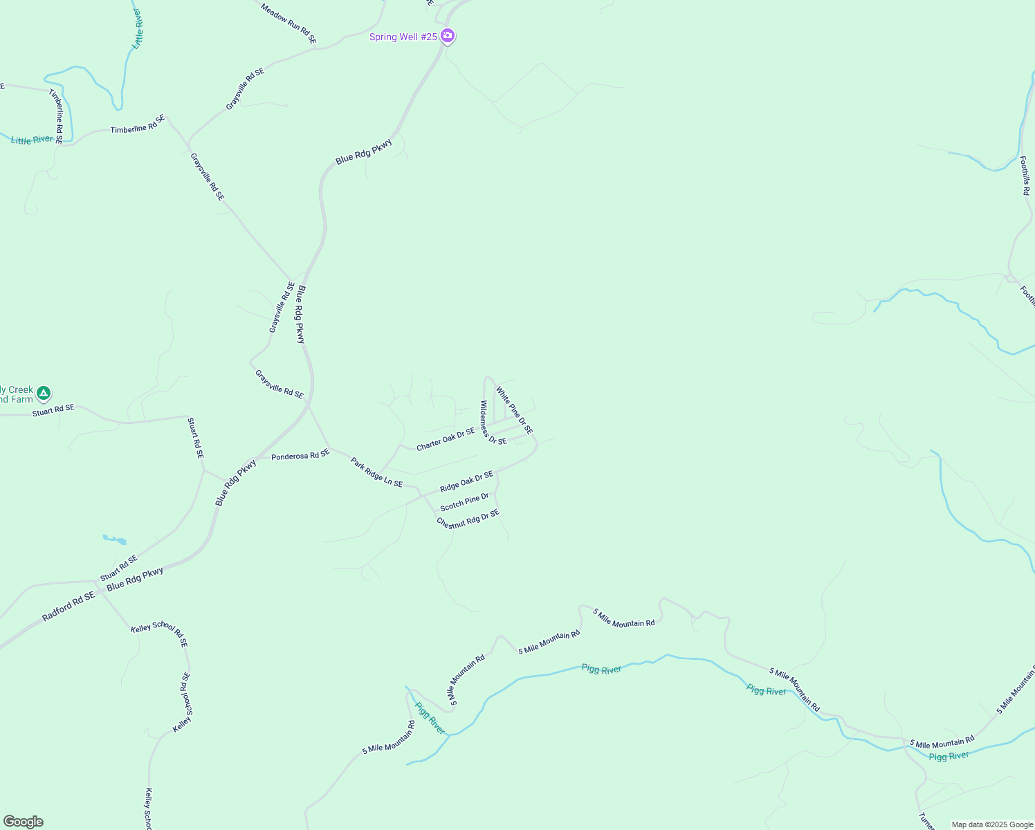 map of restaurants, bars, coffee shops, grocery stores, and more near White Pine Drive Southeast in Copper Hill