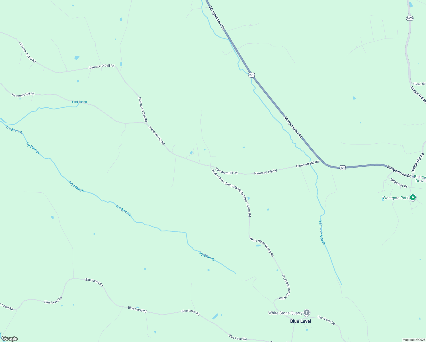map of restaurants, bars, coffee shops, grocery stores, and more near 1788 White Stone Quarry Road in Bowling Green