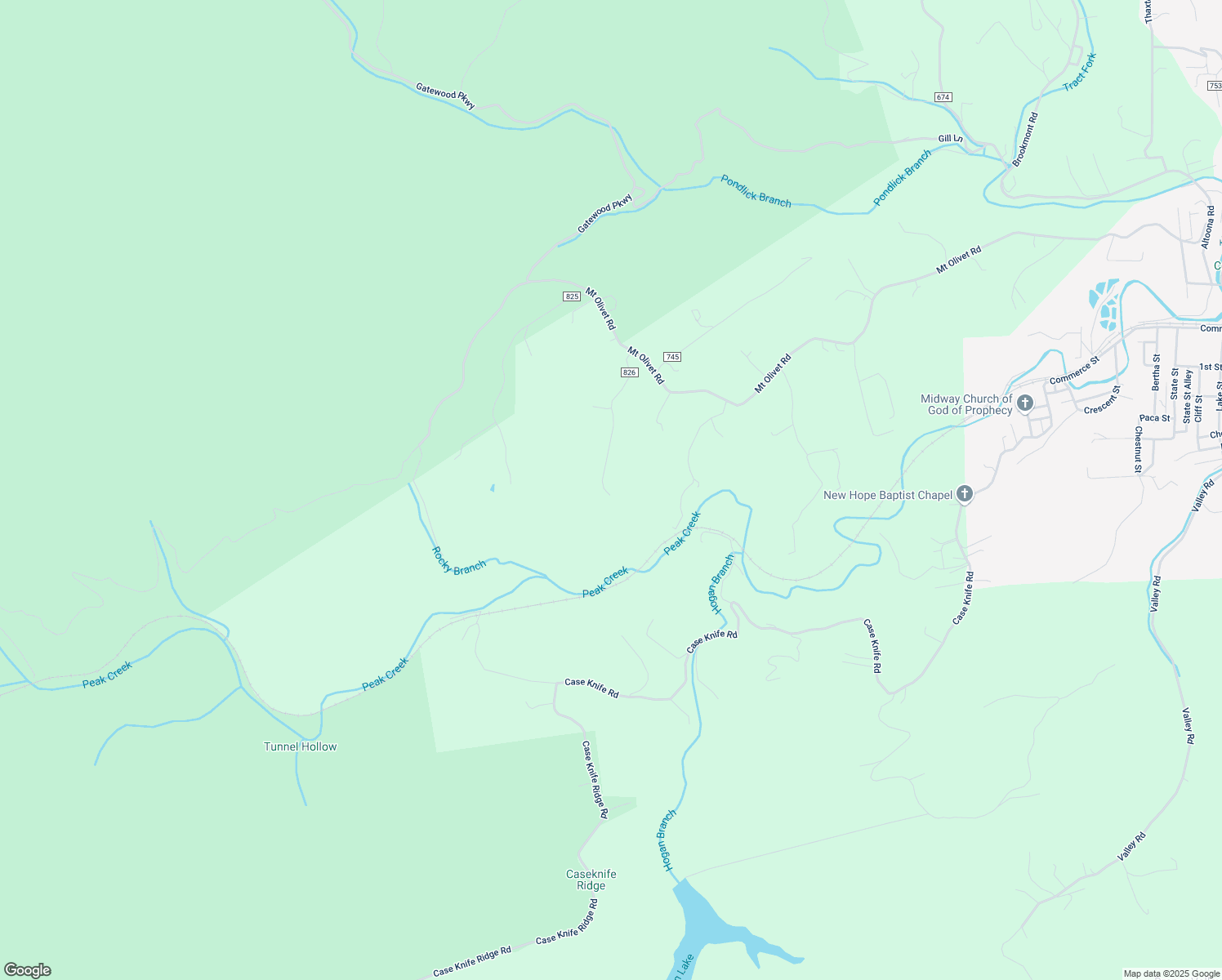 map of restaurants, bars, coffee shops, grocery stores, and more near 4018 Evans Street in Pulaski