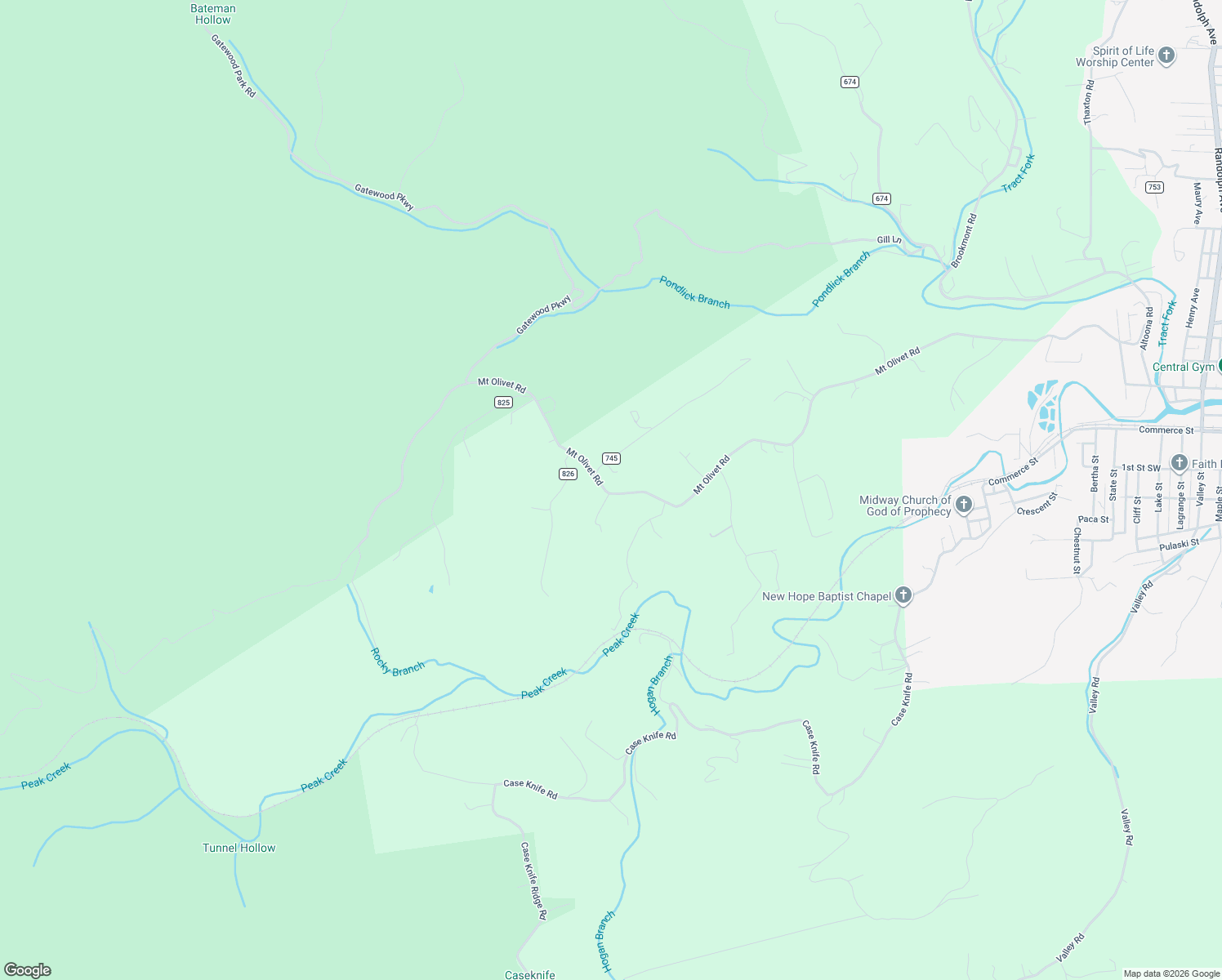 map of restaurants, bars, coffee shops, grocery stores, and more near 2791 Mount Olivet Road in Pulaski