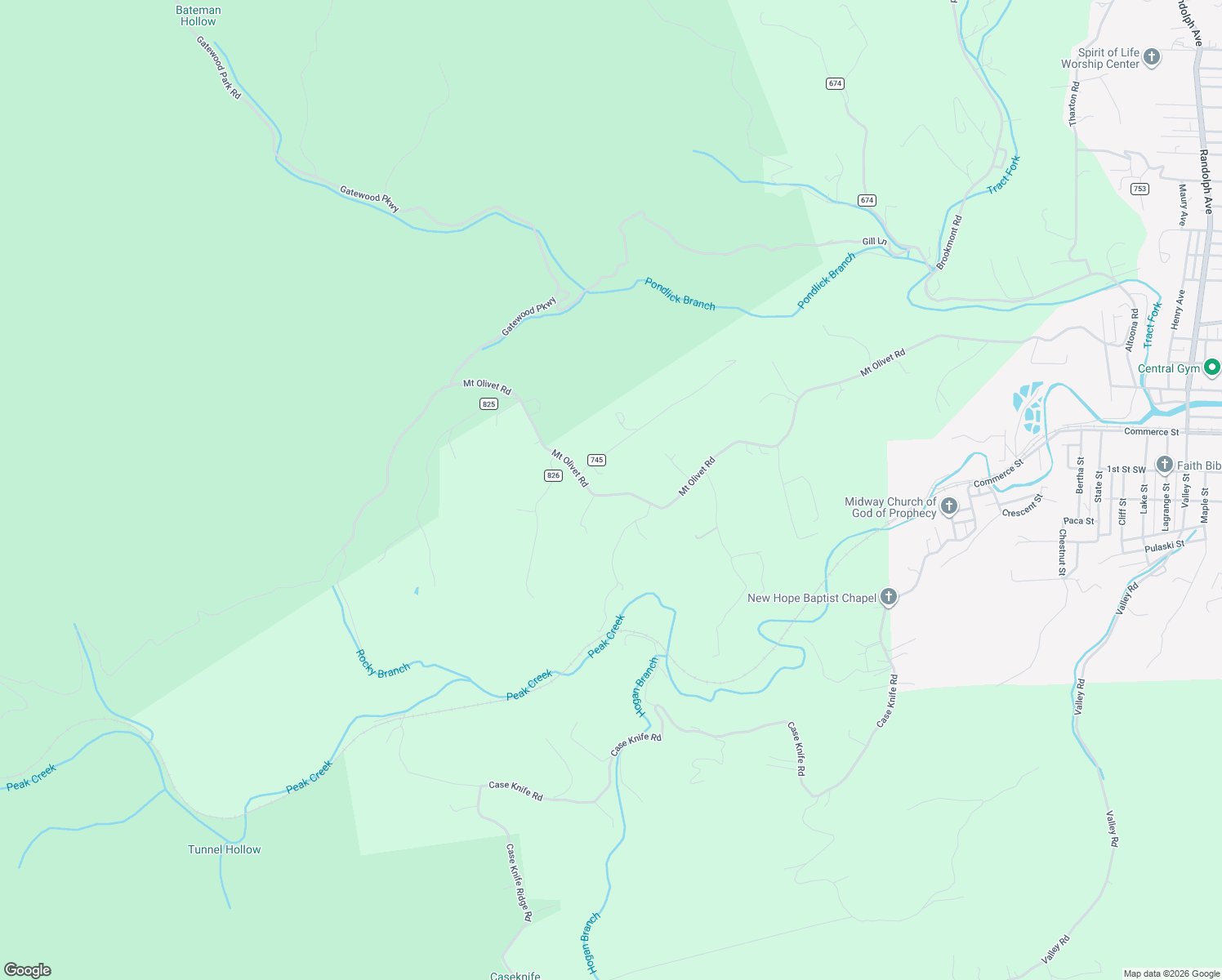 map of restaurants, bars, coffee shops, grocery stores, and more near 2791 Mount Olivet Road in Pulaski