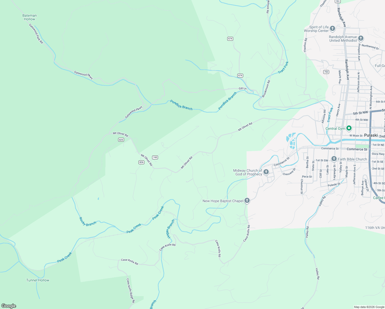 map of restaurants, bars, coffee shops, grocery stores, and more near 2899 Mount Olivet Road in Pulaski