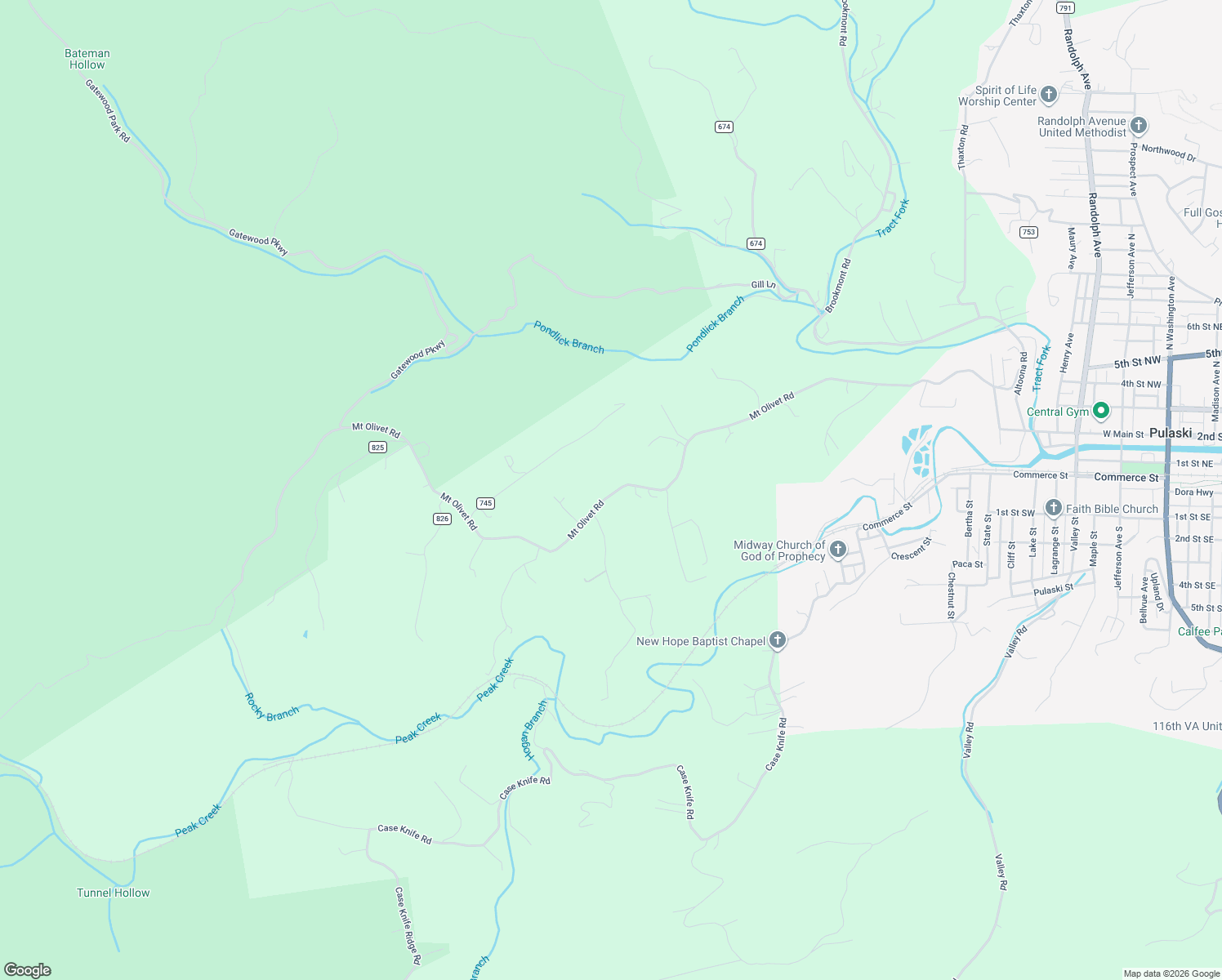 map of restaurants, bars, coffee shops, grocery stores, and more near 2899 Mount Olivet Road in Pulaski