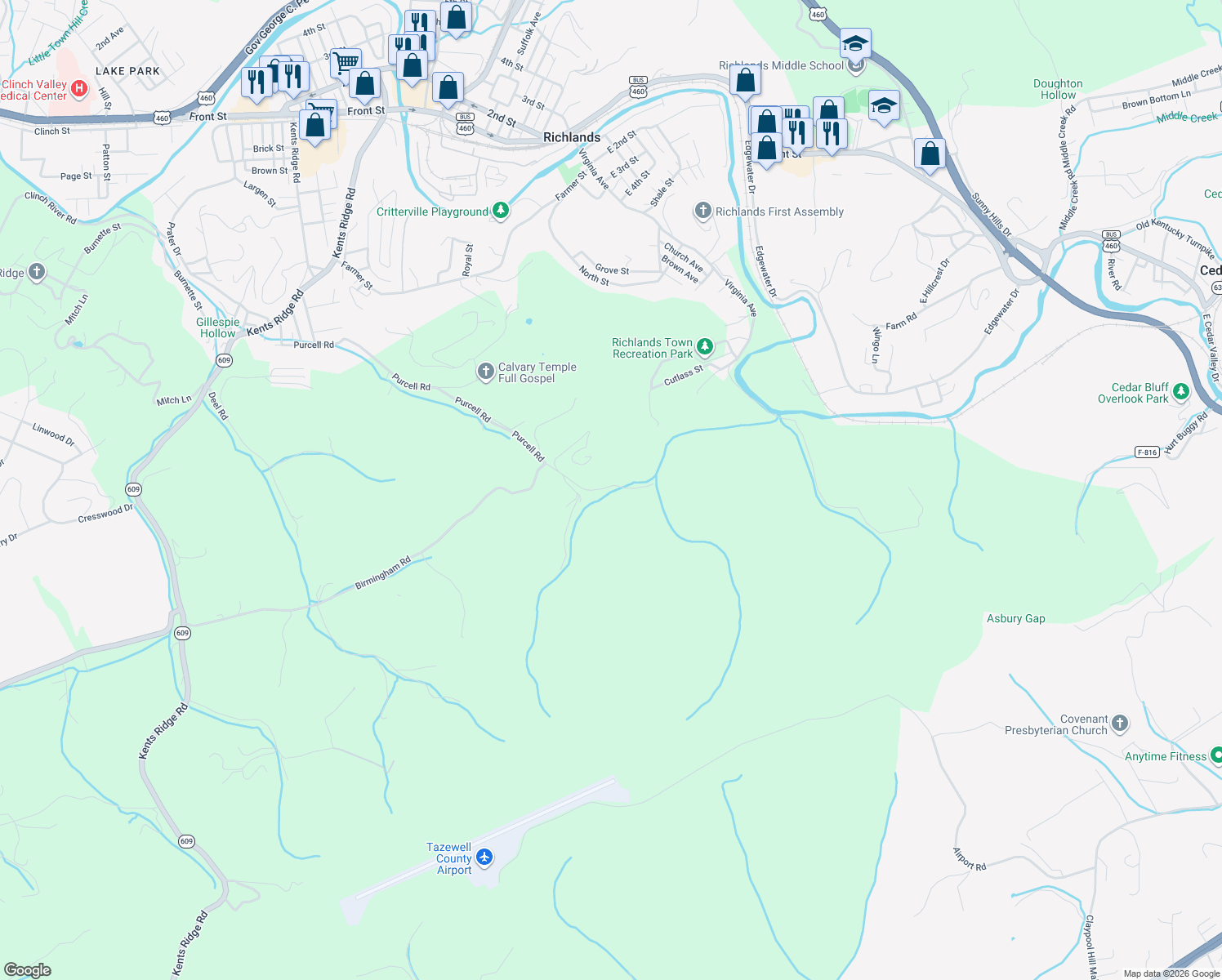 map of restaurants, bars, coffee shops, grocery stores, and more near 75 Purcell Road in Richlands