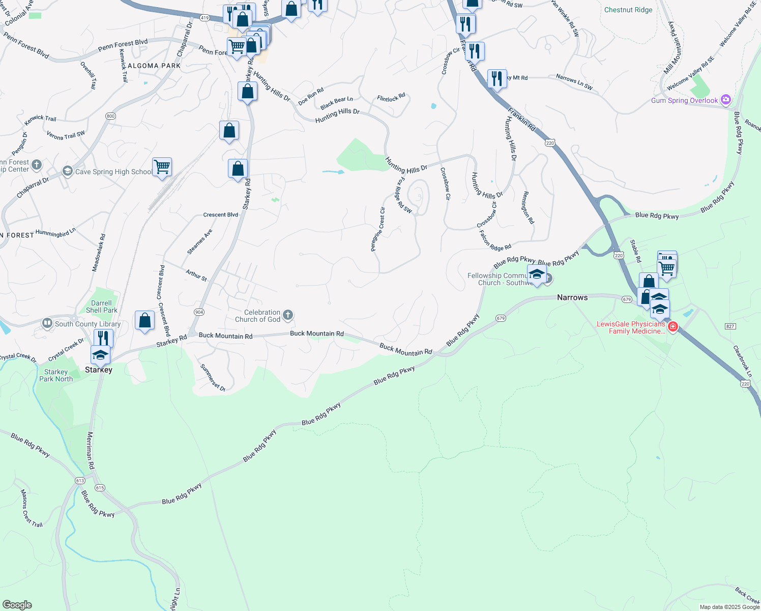 map of restaurants, bars, coffee shops, grocery stores, and more near Campbell View Lane in Roanoke