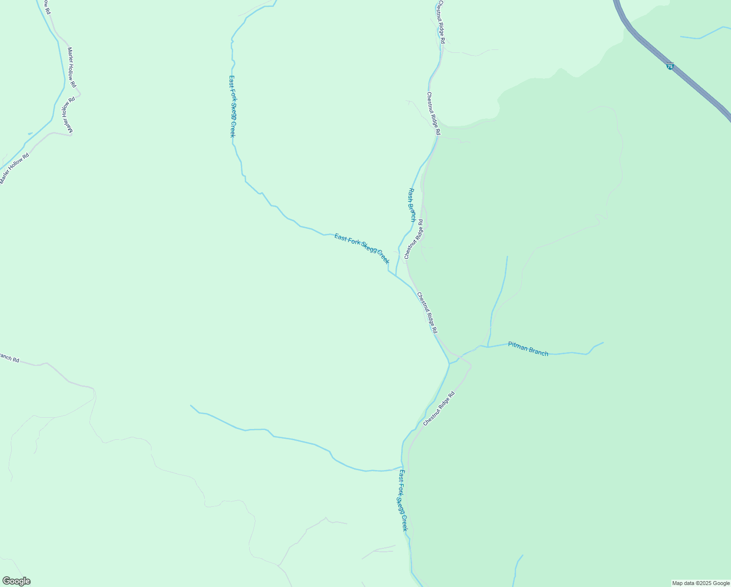 map of restaurants, bars, coffee shops, grocery stores, and more near in Disputanta