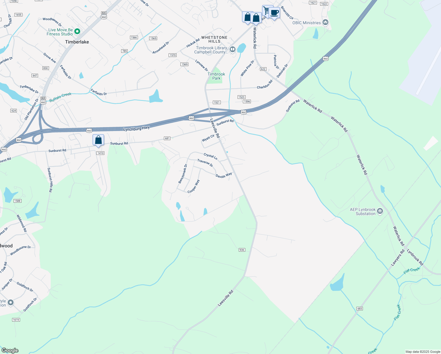 map of restaurants, bars, coffee shops, grocery stores, and more near Davids Way in Evington