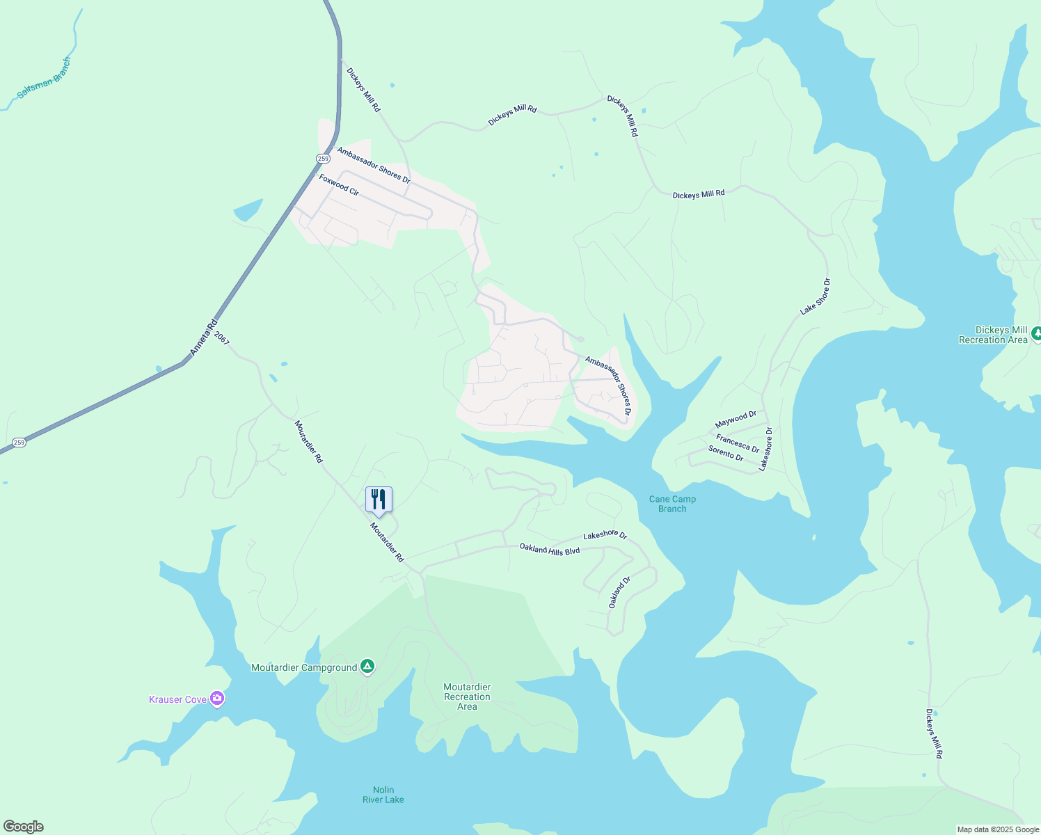 map of restaurants, bars, coffee shops, grocery stores, and more near 12 Lakeview Drive in Leitchfield
