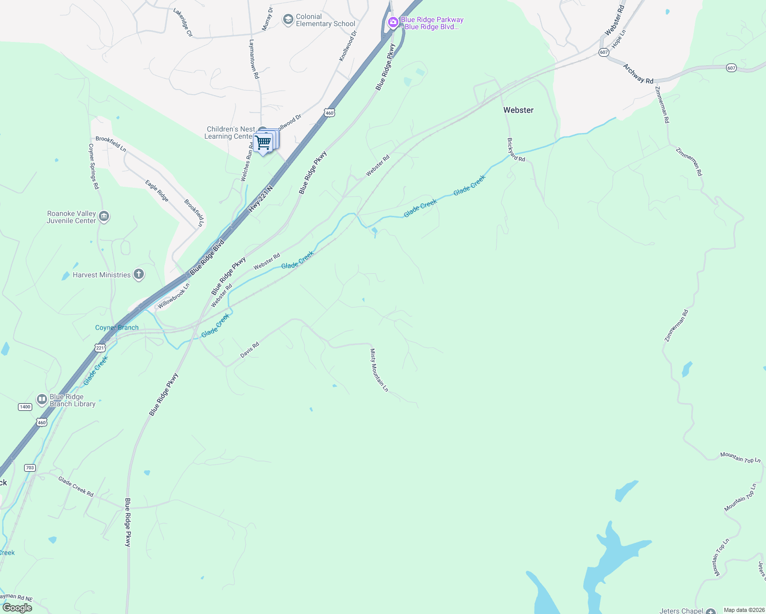 map of restaurants, bars, coffee shops, grocery stores, and more near 299 White Tail Drive in Roanoke