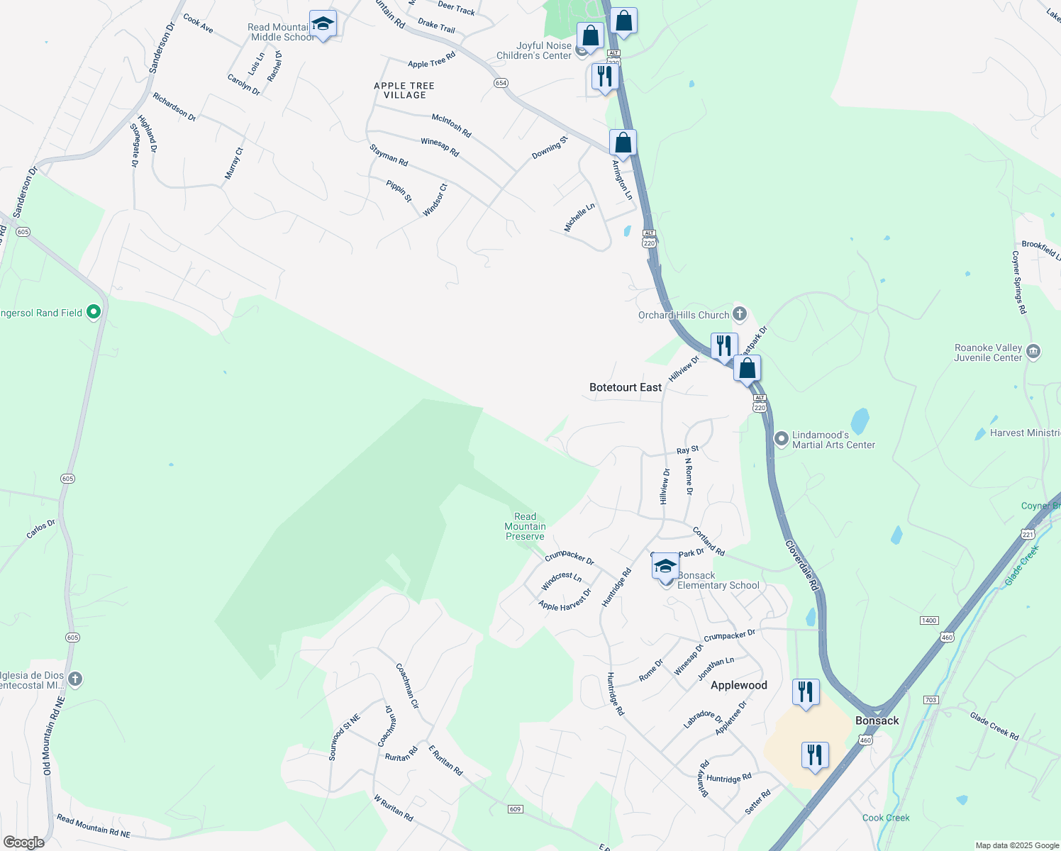 map of restaurants, bars, coffee shops, grocery stores, and more near 607 Ray Street in Roanoke