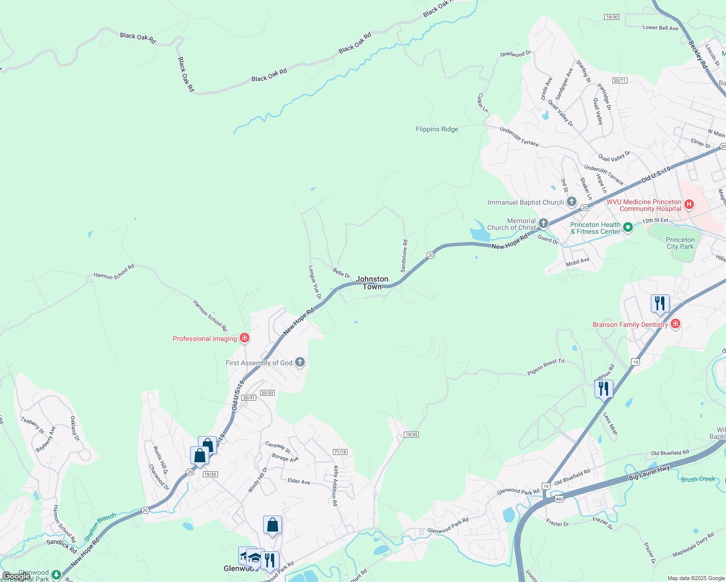 map of restaurants, bars, coffee shops, grocery stores, and more near 2205 New Hope Rd in Princeton
