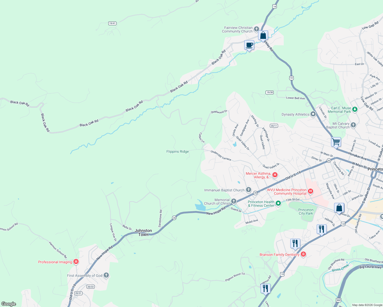 map of restaurants, bars, coffee shops, grocery stores, and more near 102 Hidden Spring Lane in Princeton