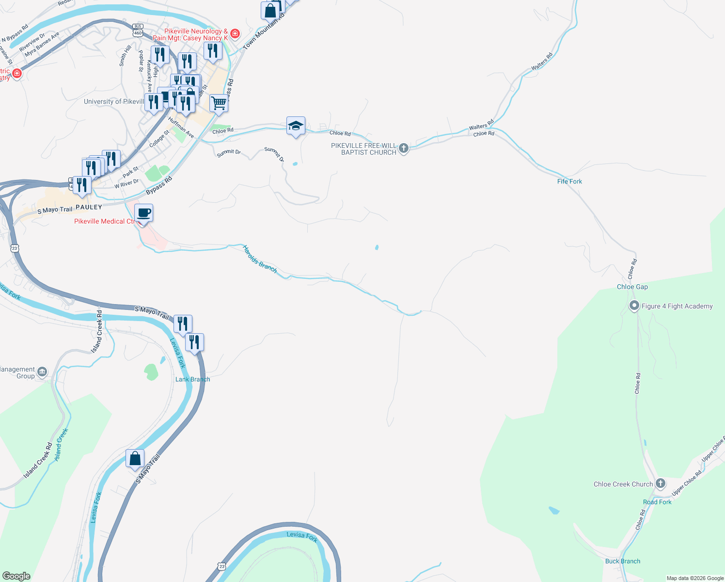 map of restaurants, bars, coffee shops, grocery stores, and more near 1-199 Stone Drive in Pikeville