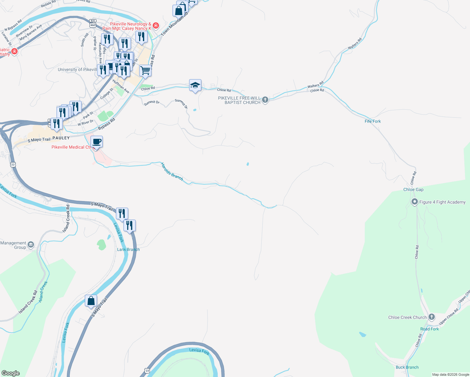 map of restaurants, bars, coffee shops, grocery stores, and more near 564 Harolds Branch in Pikeville