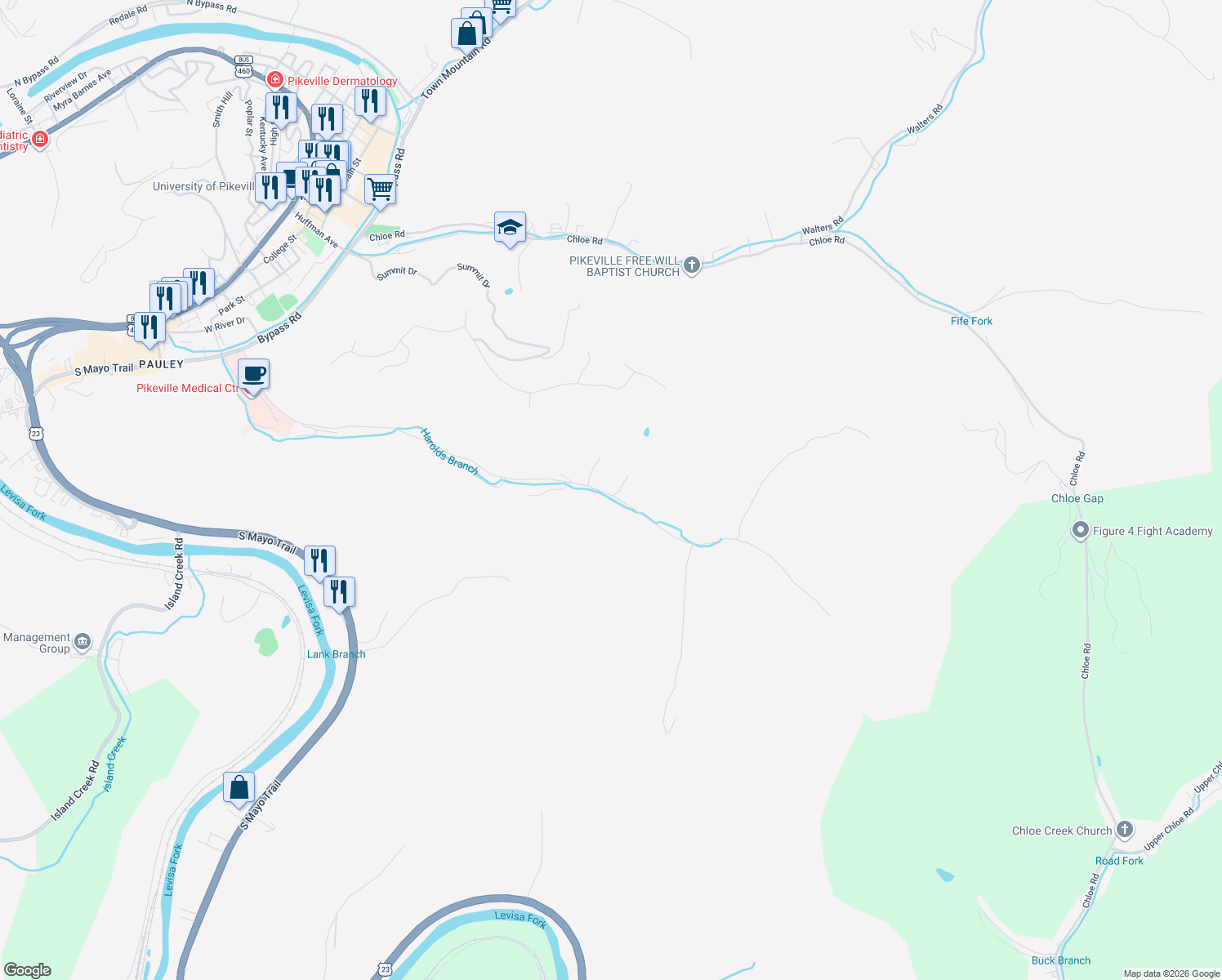 map of restaurants, bars, coffee shops, grocery stores, and more near 1-199 Stone Drive in Pikeville