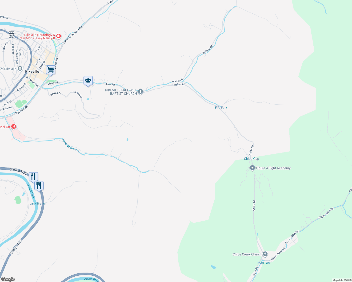 map of restaurants, bars, coffee shops, grocery stores, and more near 1003 Harolds Branch in Pikeville