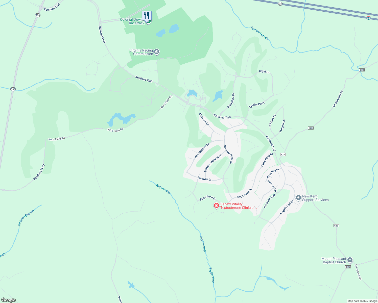 map of restaurants, bars, coffee shops, grocery stores, and more near 5456 Pine Needles Court in Providence Forge