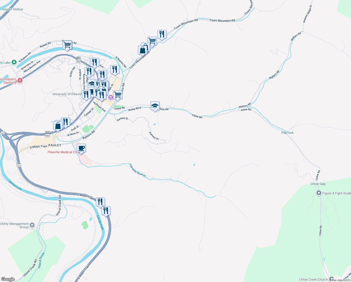 map of restaurants, bars, coffee shops, grocery stores, and more near 298 East Chloe Ridge Drive in Pikeville