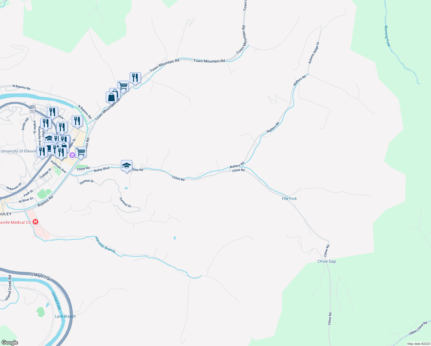 map of restaurants, bars, coffee shops, grocery stores, and more near 583 Chloe Road in Pikeville