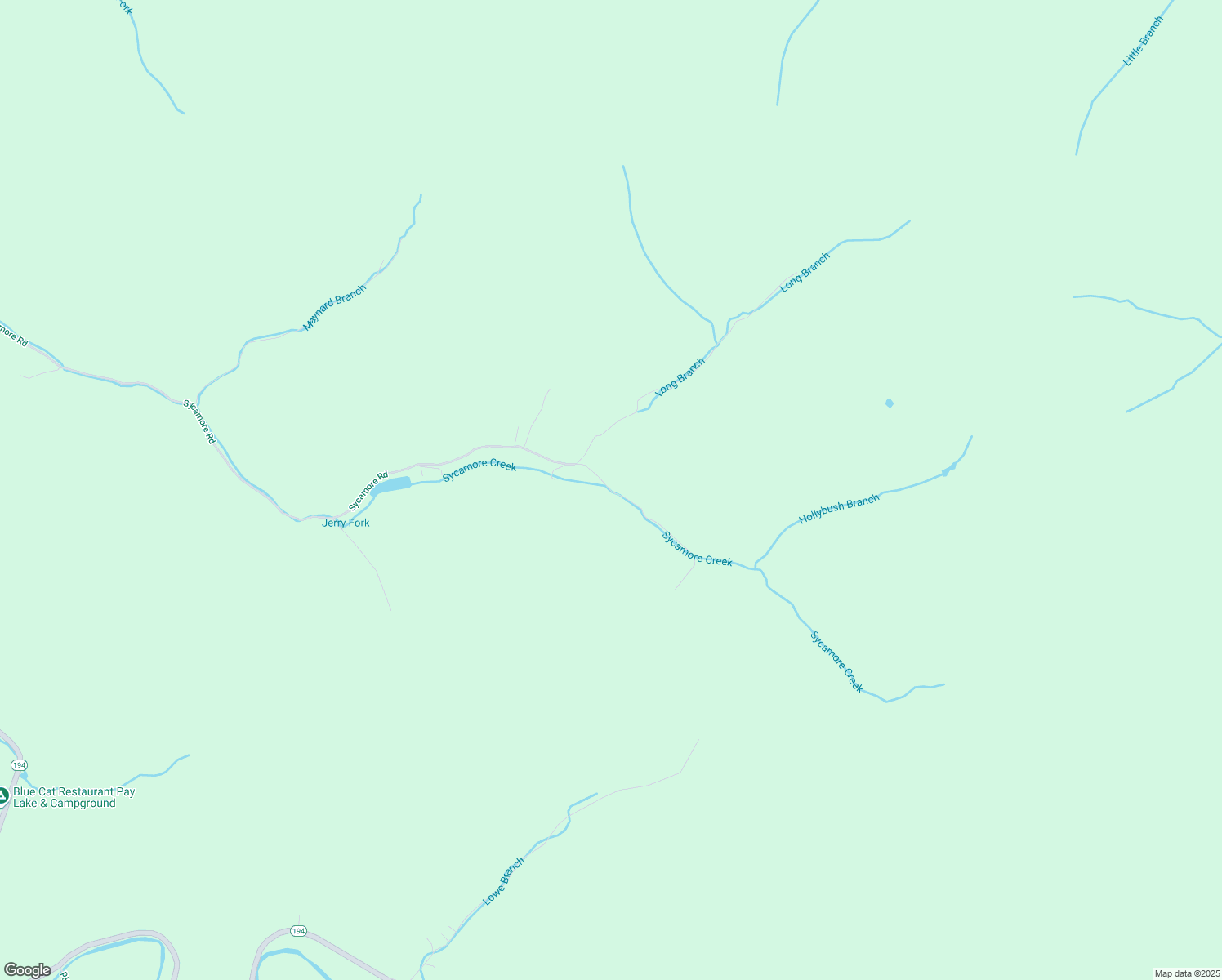 map of restaurants, bars, coffee shops, grocery stores, and more near 2941 Sycamore Road in Pikeville