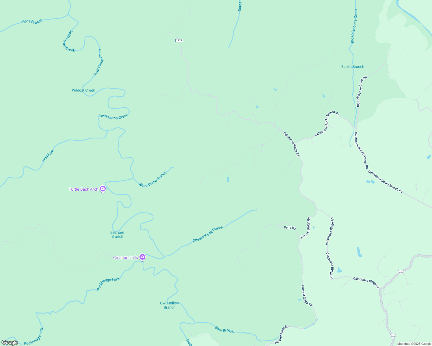 map of restaurants, bars, coffee shops, grocery stores, and more near 538 Chestnut Log Branch Road in Campton