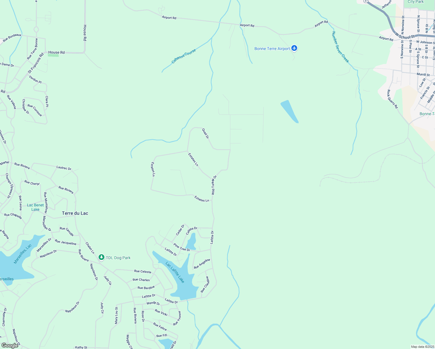 map of restaurants, bars, coffee shops, grocery stores, and more near 420 Wild Turkey Drive in Bonne Terre