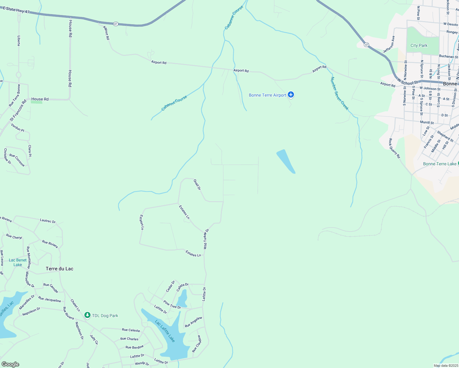 map of restaurants, bars, coffee shops, grocery stores, and more near 420 Wild Turkey Drive in Bonne Terre