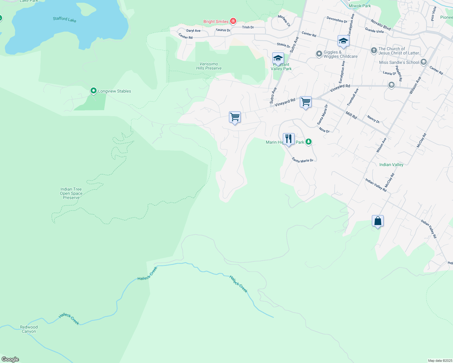 map of restaurants, bars, coffee shops, grocery stores, and more near 162 Wild Horse Valley Drive in Novato