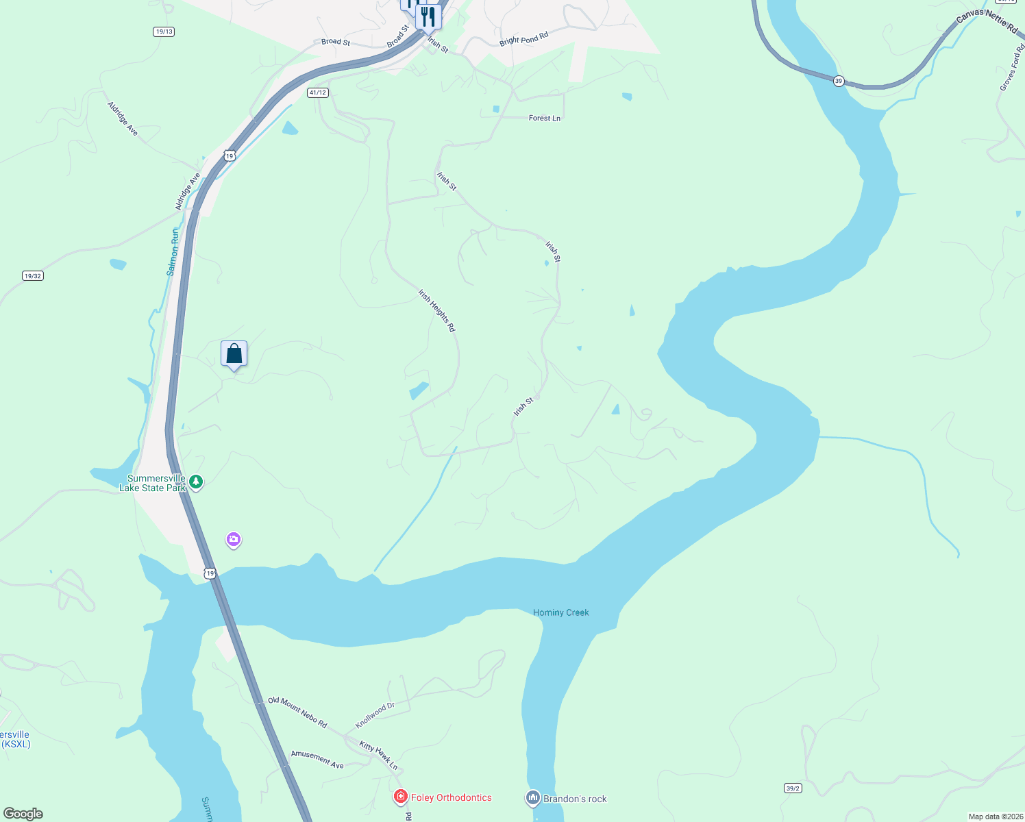 map of restaurants, bars, coffee shops, grocery stores, and more near 644 Irish Street in Summersville