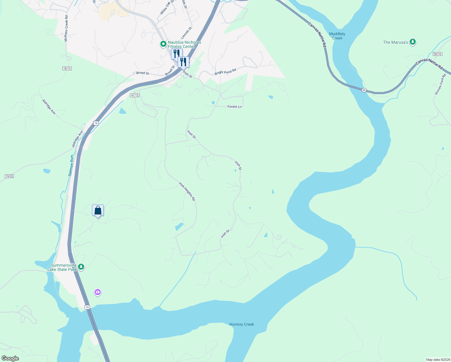 map of restaurants, bars, coffee shops, grocery stores, and more near 1494 Irish Street in Summersville