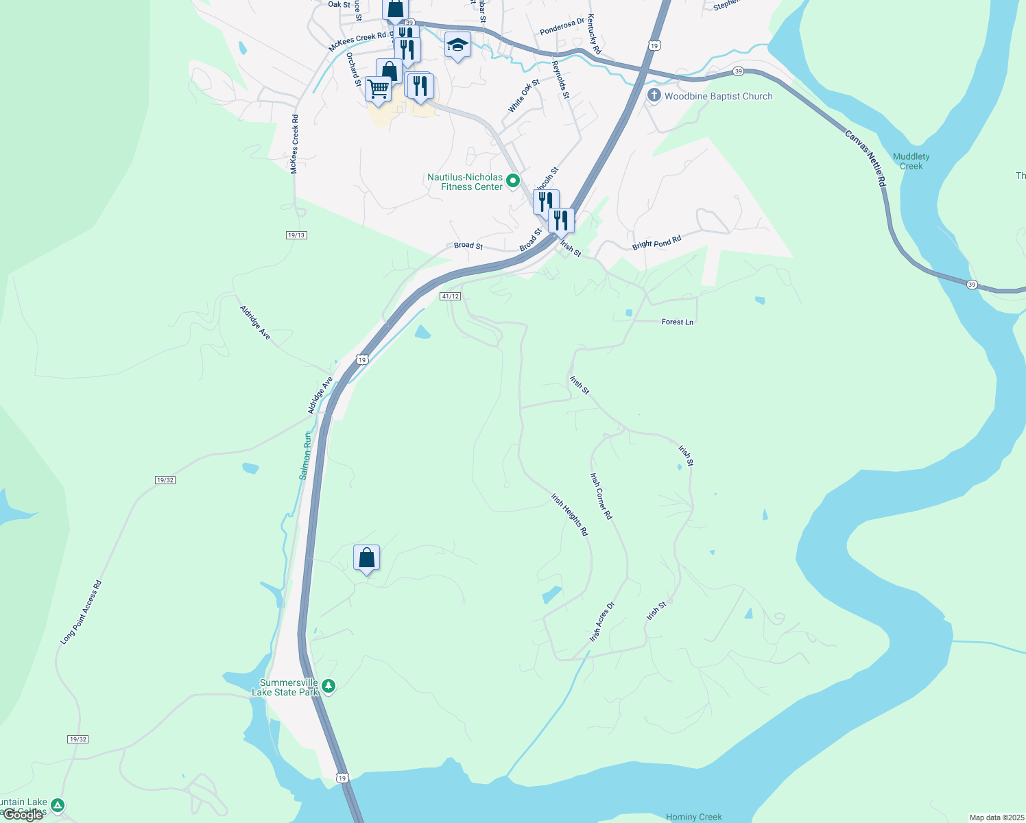 map of restaurants, bars, coffee shops, grocery stores, and more near 796 Irish Heights Road in Summersville