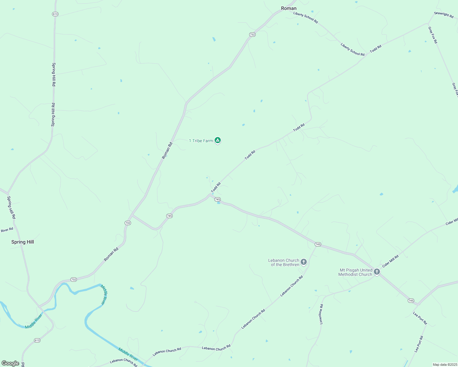 map of restaurants, bars, coffee shops, grocery stores, and more near 816 Todd Road in Mount Sidney
