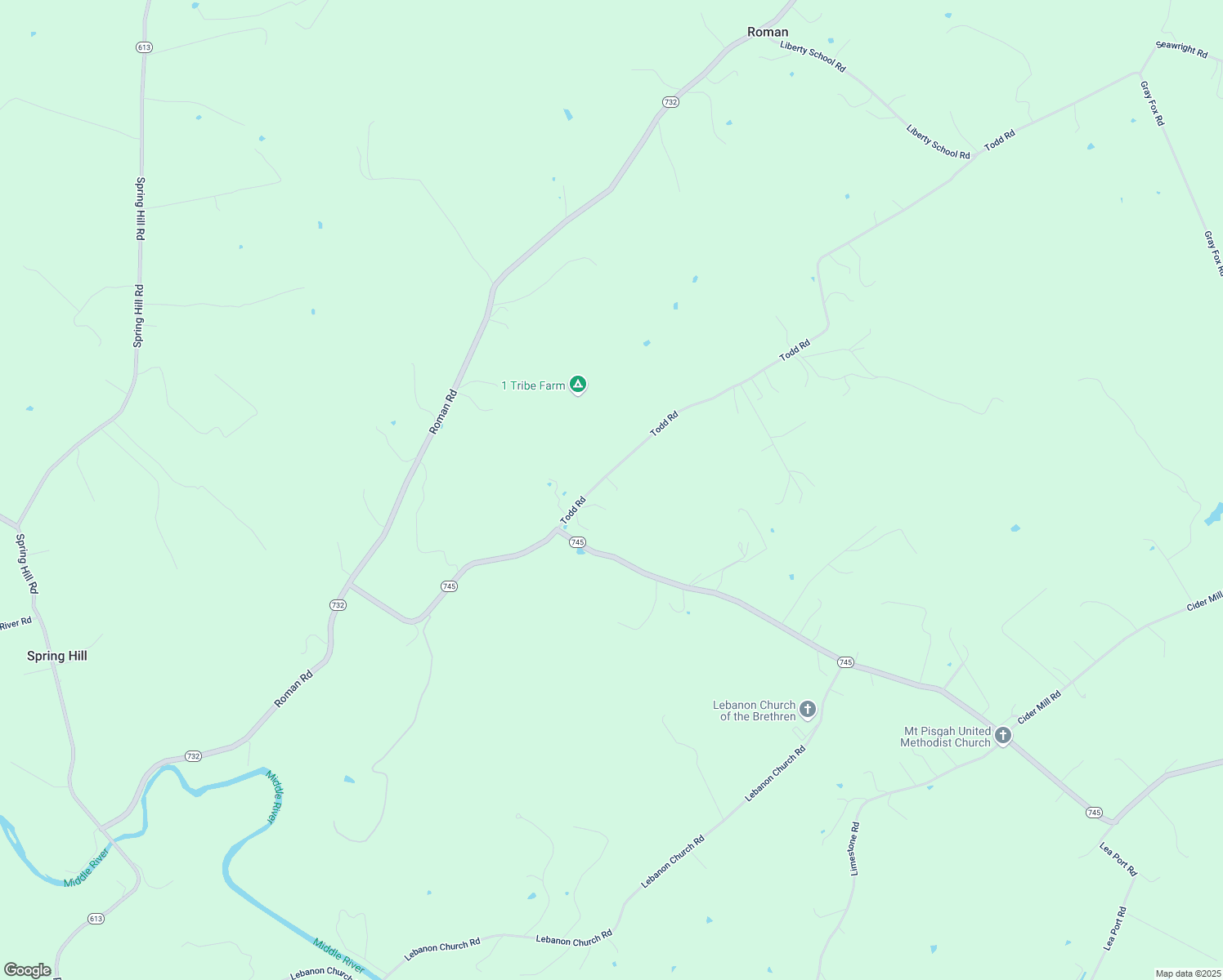 map of restaurants, bars, coffee shops, grocery stores, and more near 816 Todd Road in Mount Sidney