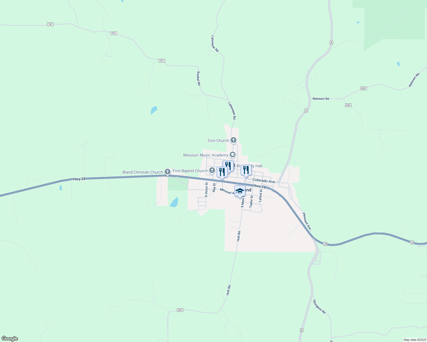 207 Service Street, Bland MO Walk Score