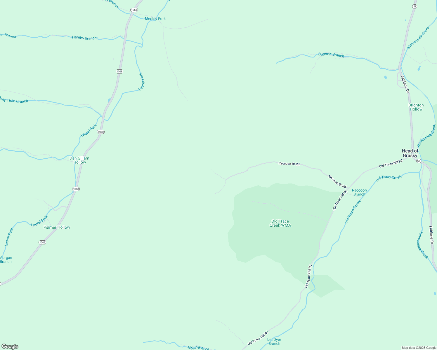 map of restaurants, bars, coffee shops, grocery stores, and more near Raccoon Branch in Lewis County